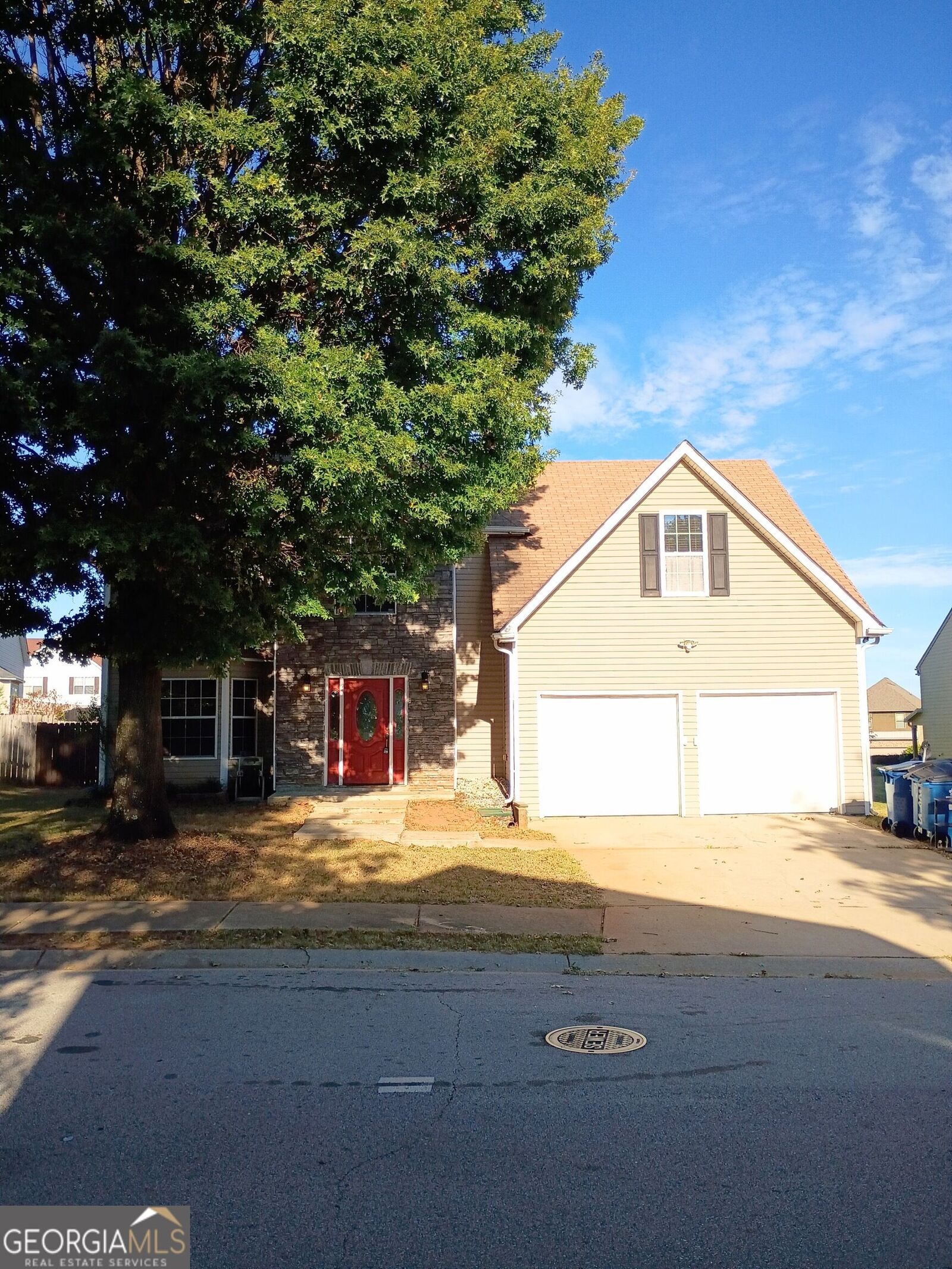 Property Photo:  295 Vaness Drive  GA 30253 