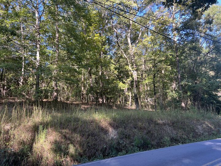 Property Photo:  00 Rocky Hollow Road  GA 30747 