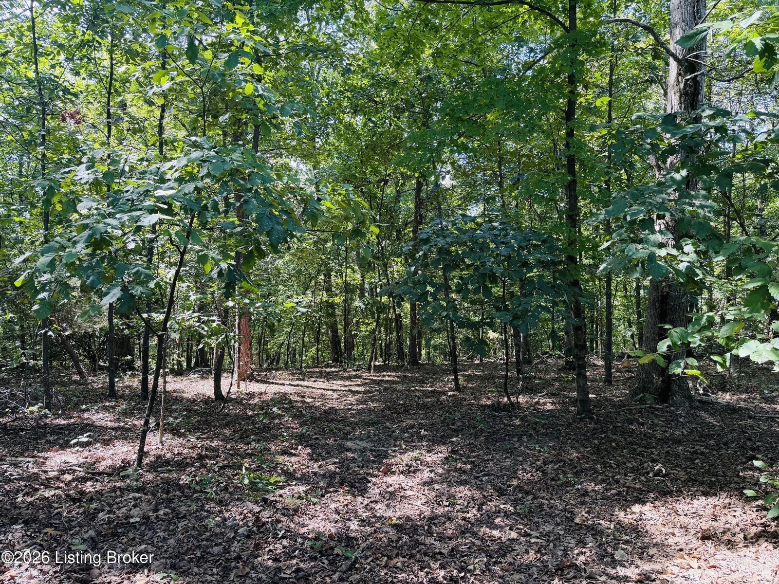 Property Photo: Lot 53 Rams Run KY 40165
