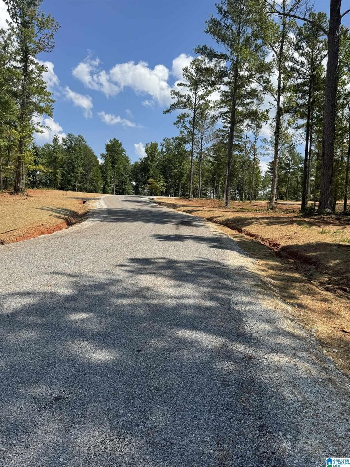 Property Photo:  Lot19 Cam's Cov Old Highway 431 Lot 19  AL 36278 