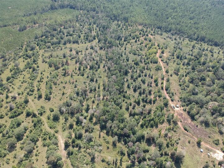 Property Photo:  Tract 1 Private Rd 8385  TX 77660 