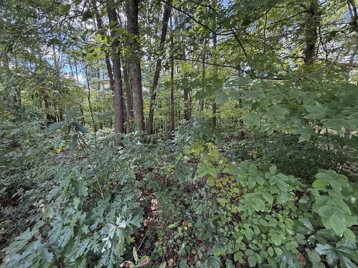 Property Photo:  00 E Taxiway Drive Lot 20  KY 42602 