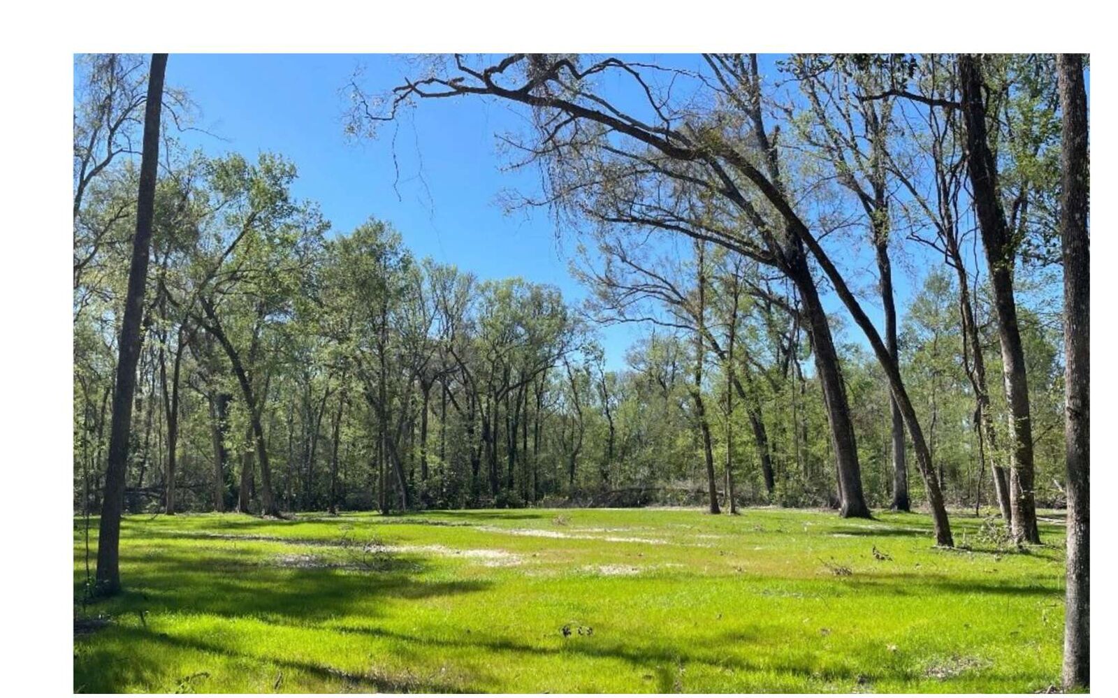 Property Photo: