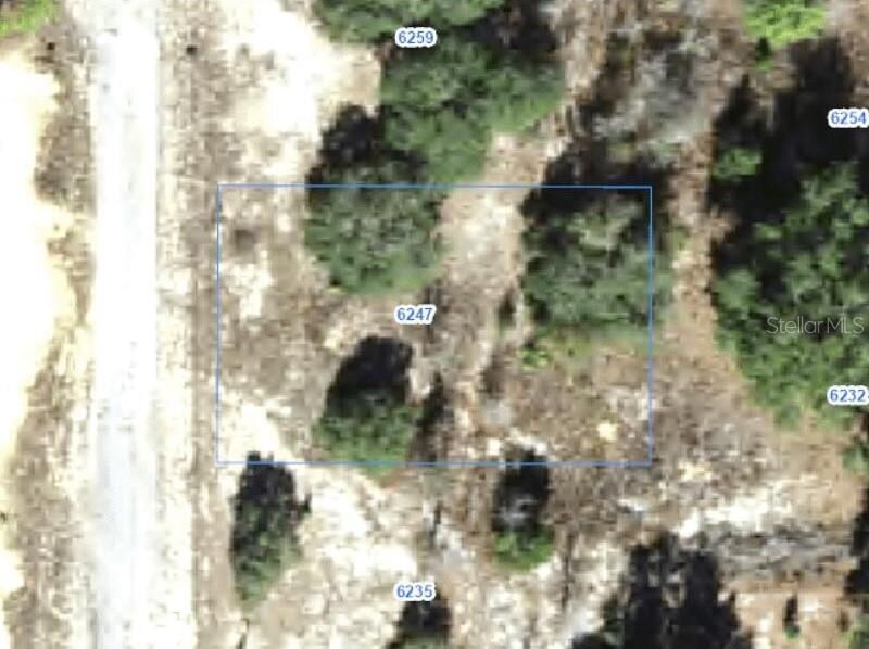 Property Photo: 6247 N Hobson Terrace FL 34433