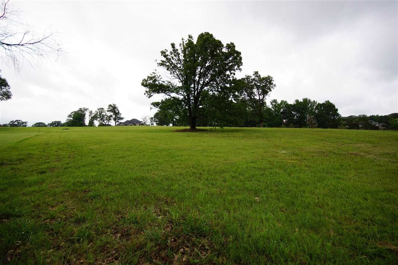 Property Photo:  35 Buckingham Ct  TN 38028 