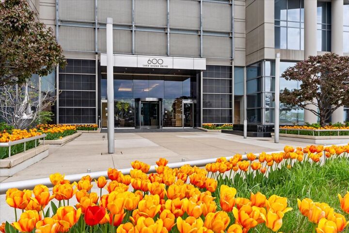 Property Photo: 600 N Lake Shore Drive 1011 IL 60611