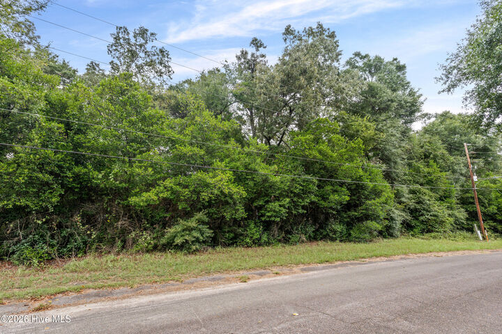Property Photo: 121 Rhodes Street SC 29831