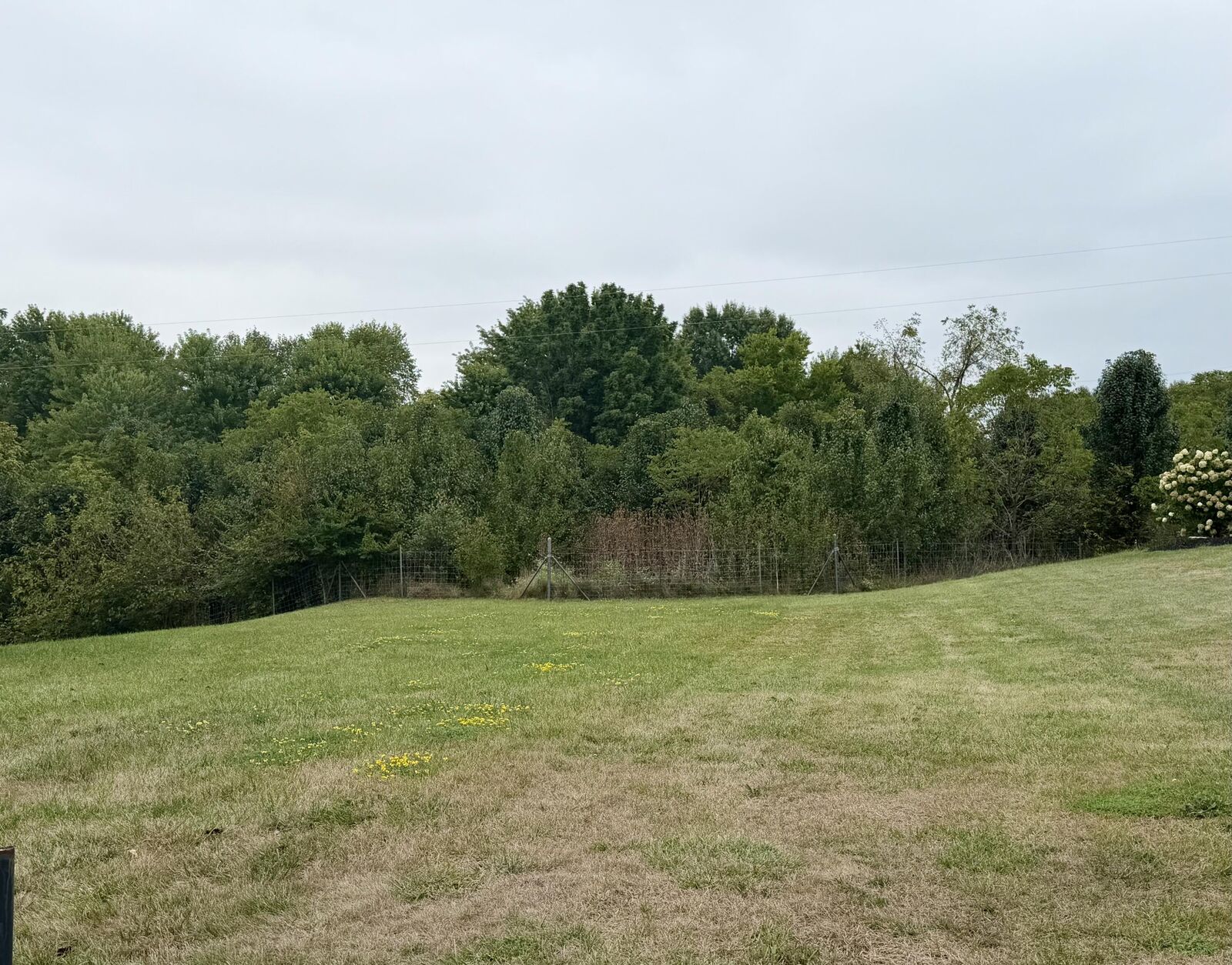 Property Photo:  11553 Allaire Court  KY 41051 