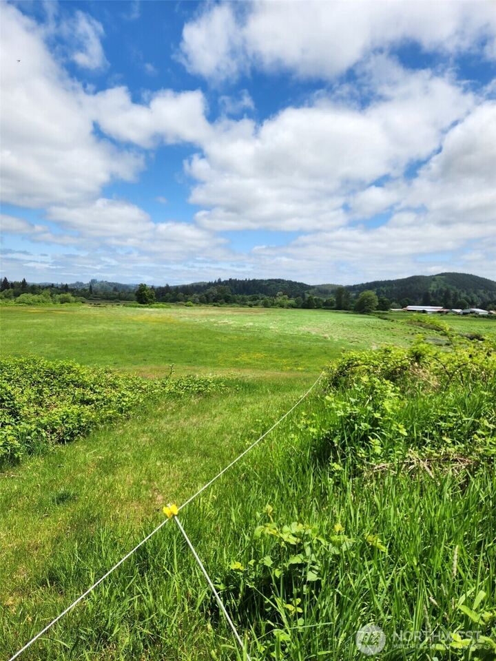 Property Photo: 0 State Hwy 6 WA 98577
