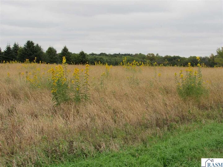 Property Photo: 40929 95th Street MN 56013