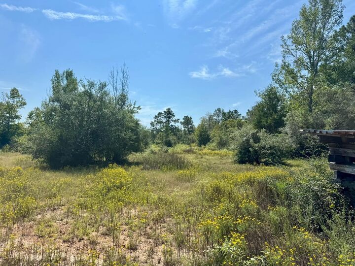 Property Photo: Tract 1 Private Rd 8385 TX 77660-9999