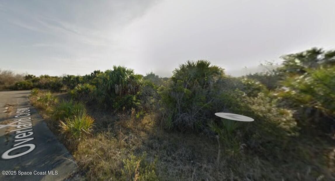 Property Photo:  000 Woodstock Drive SW  FL 32908 