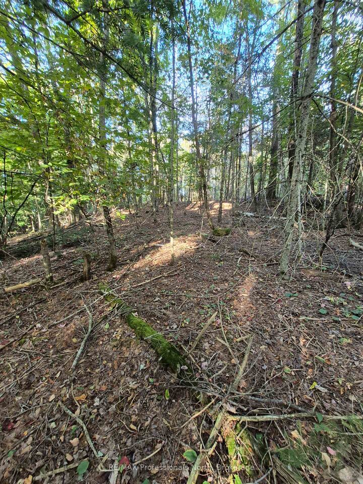 Property Photo:  1257 Hamilton Road  ON K0M 2K0 