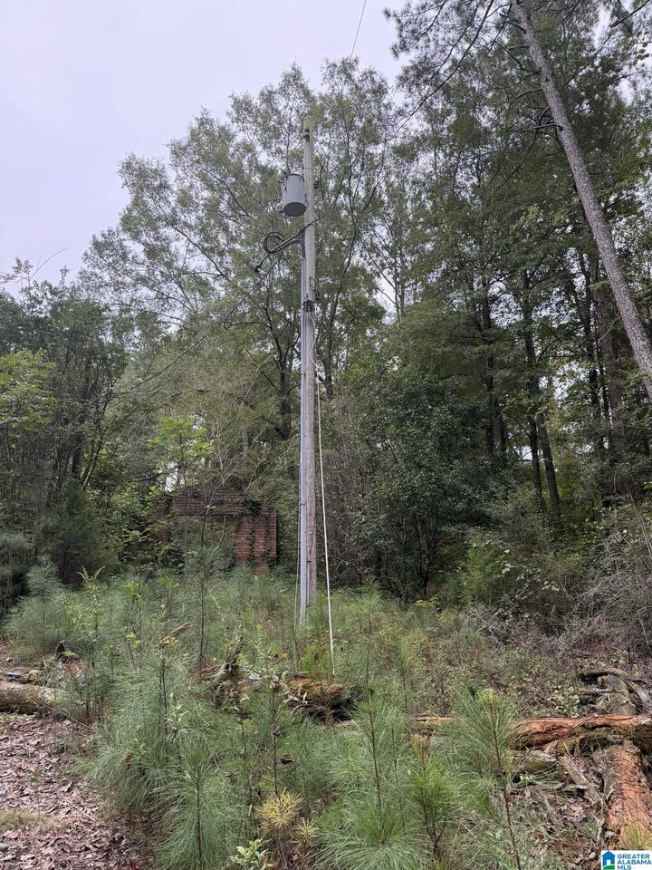 Property Photo: 0 Dearmanville Road 0 AL 36207