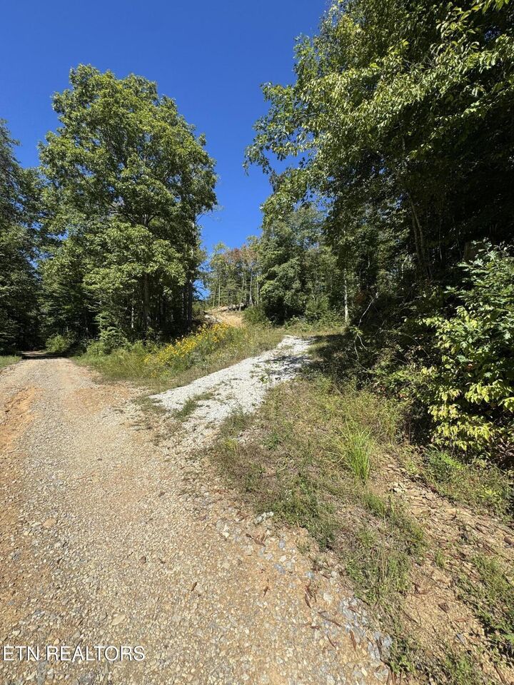 Property Photo:  2774 Stanley Creek Rd  TN 37841 