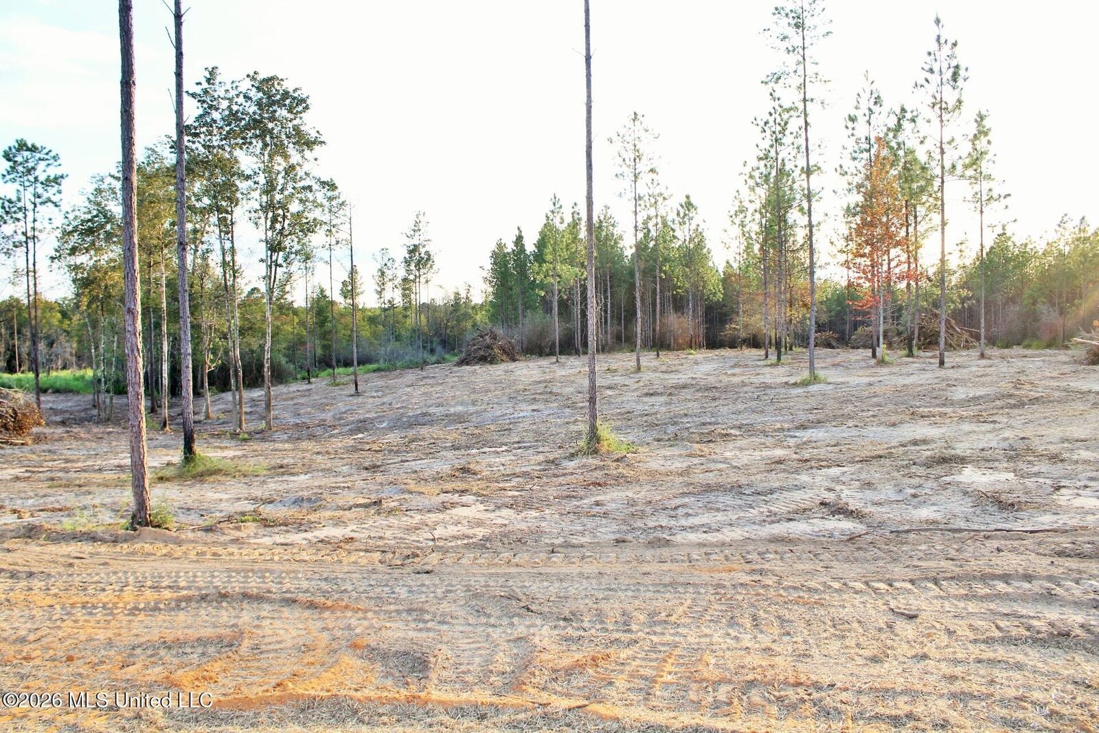 Property Photo:  Lot 18 Little Cedar Road  MS 39452 