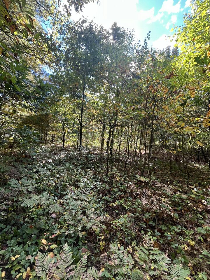 Property Photo:  Vl Sweeter Road  MI 49457 