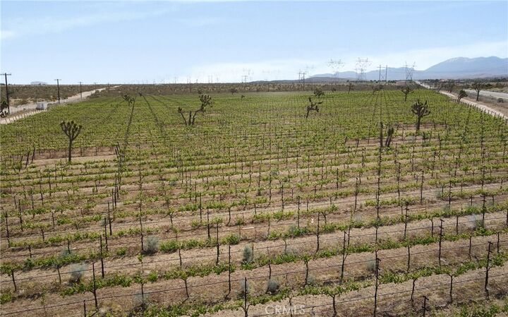 Property Photo: 0 Ft Tejon Vic 82nd St E CA 91352