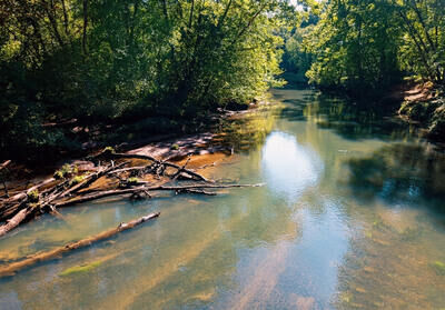Property Photo:  460 Holly Point Drive  NC 28906 