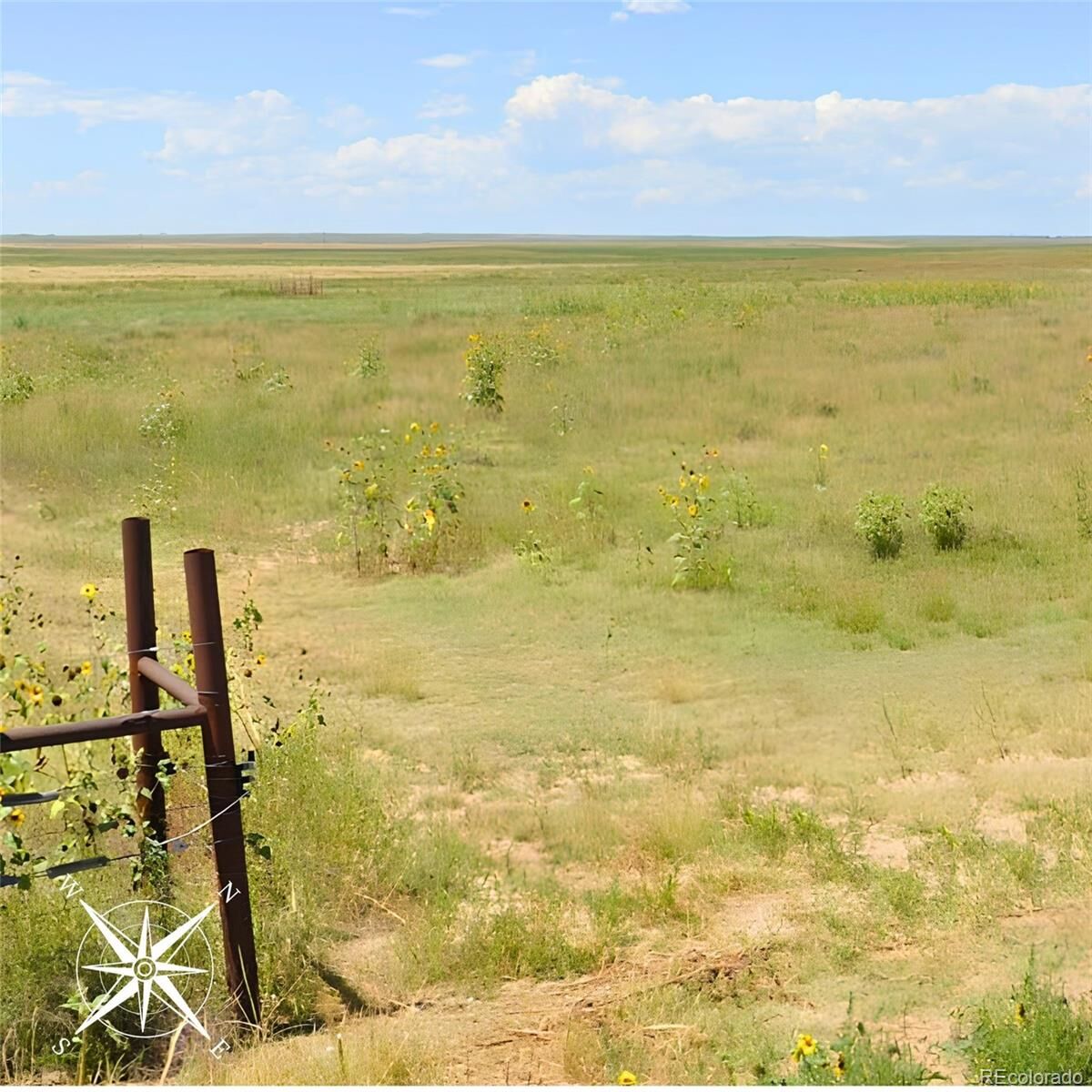 Property Photo: Weld County Road 93 CO 80611