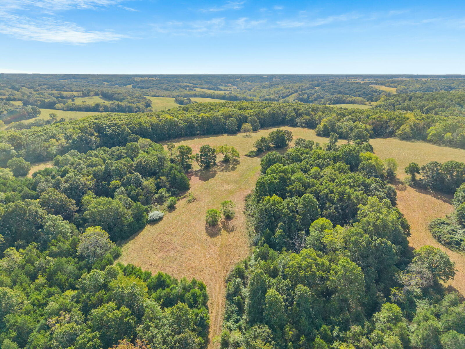 Property Photo:  000 Bobcat Road  MO 65742 