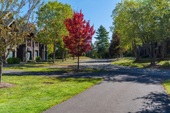 Property Photo:  17 Cimarron Trail  NY 12946 