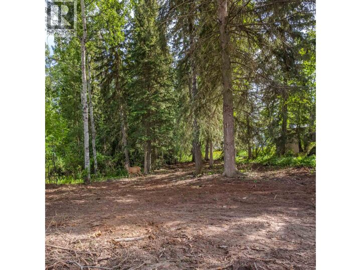Property Photo:  Lot 81 Mulligan Drive  BC V0K 2E3 
