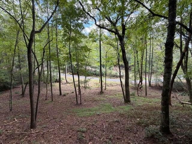 Property Photo:  133 Seneca Drive  GA 30540 