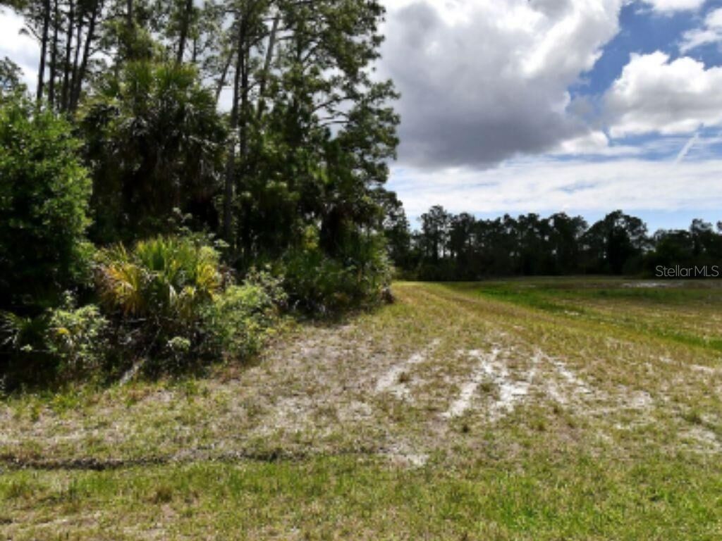 Property Photo: Mohegan Avenue FL 34288