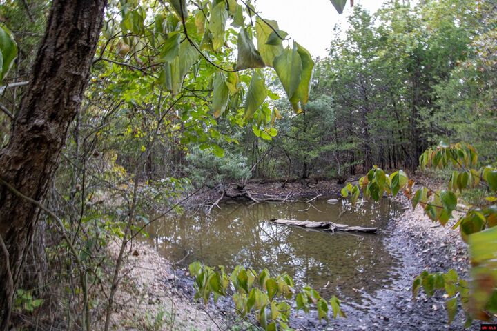 Property Photo:  Lot 43 Cr 1420  AR 72653 