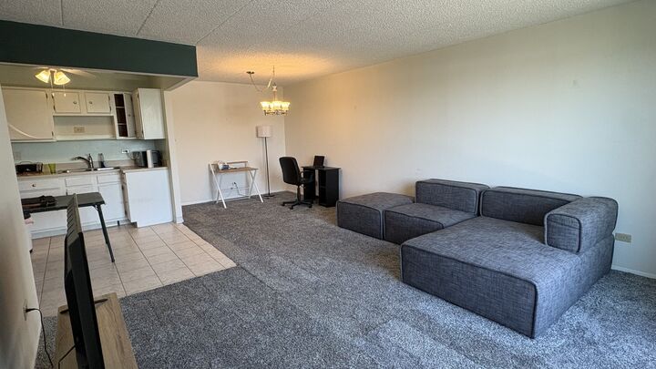 Property Photo: 9701 N Dee Road N 601K IL 60714