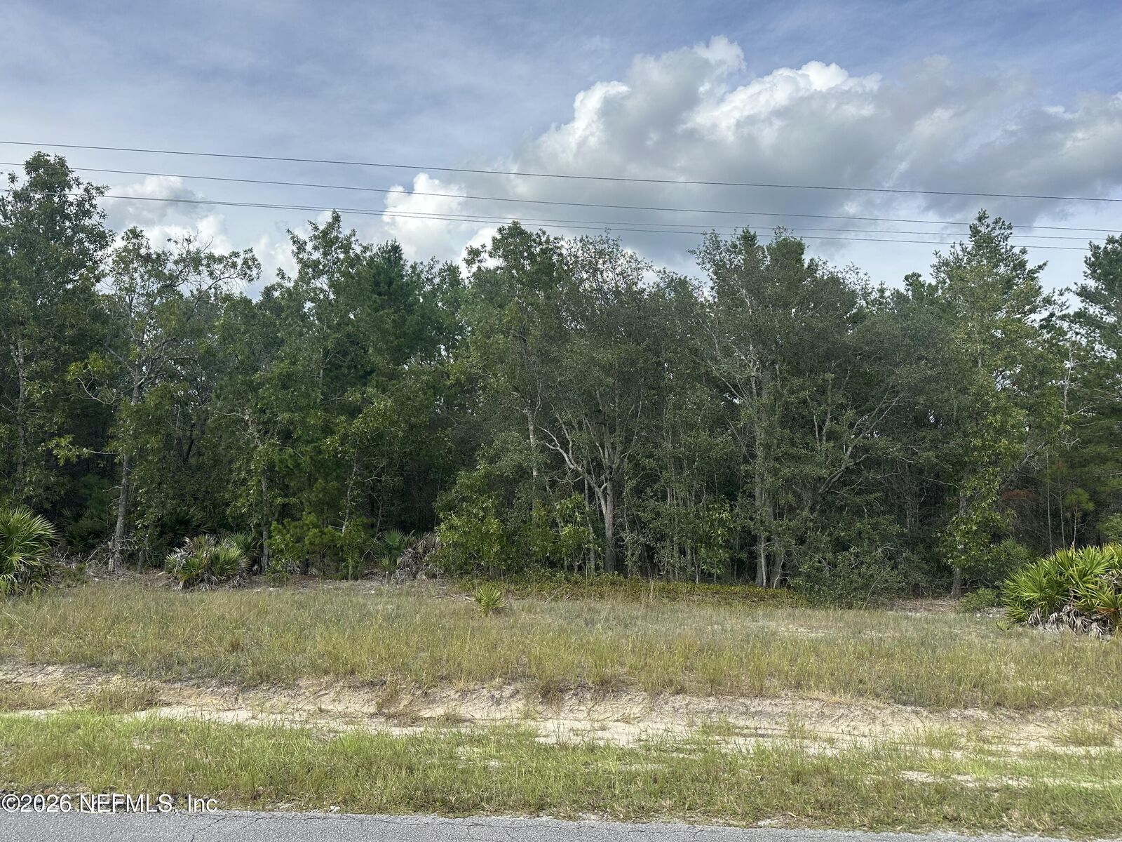 Property Photo:  Lot 17 E Hillsborough Avenue  FL 32140 