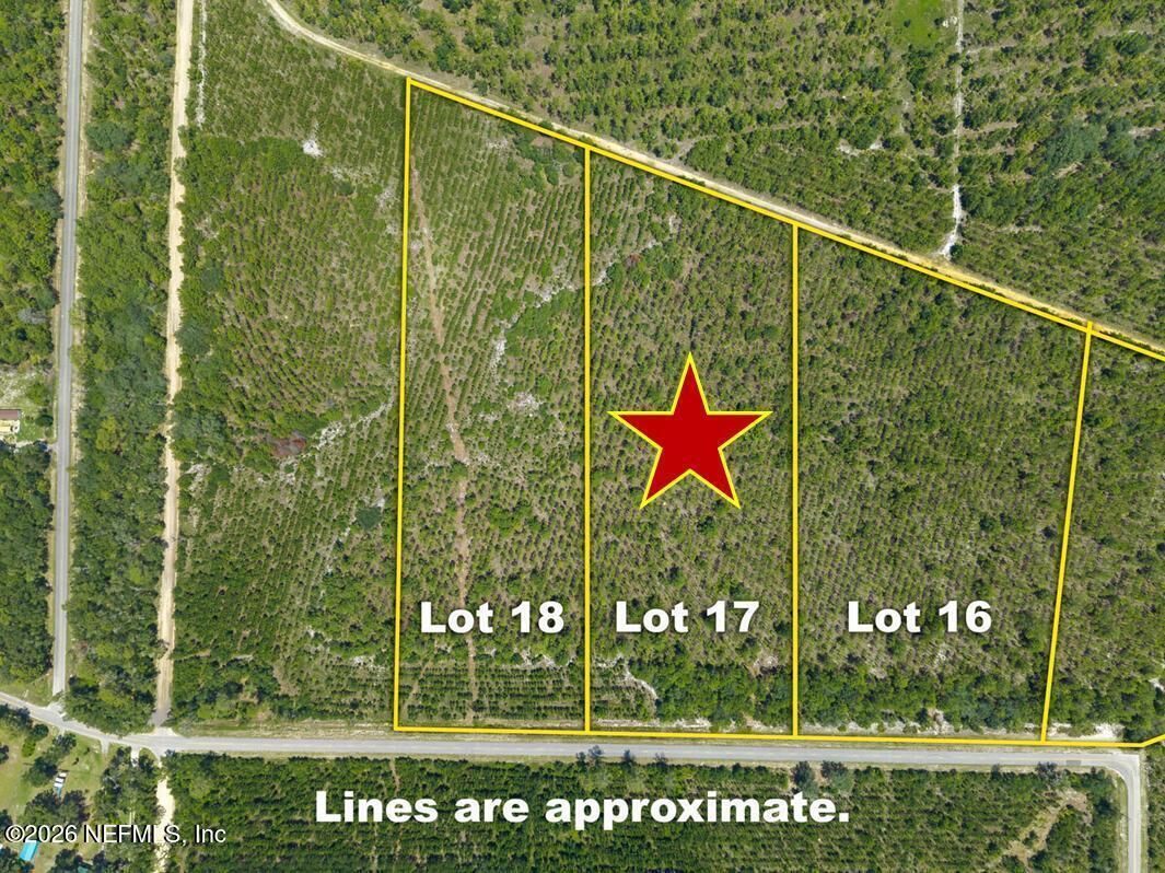 Property Photo: Lot 17 E Hillsborough Avenue FL 32140