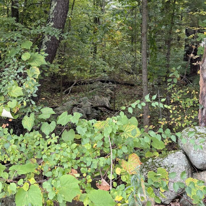 Property Photo:  Stowell Road  NH 03110 