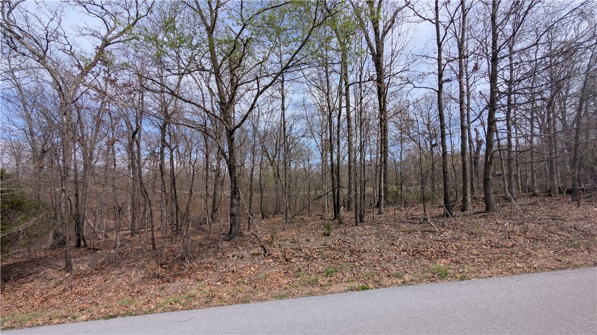 Property Photo:  Lot 17 Kirkpatrick Lane  AR 72715 