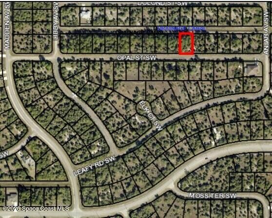 Property Photo: 671 Opal Street SW FL 32908