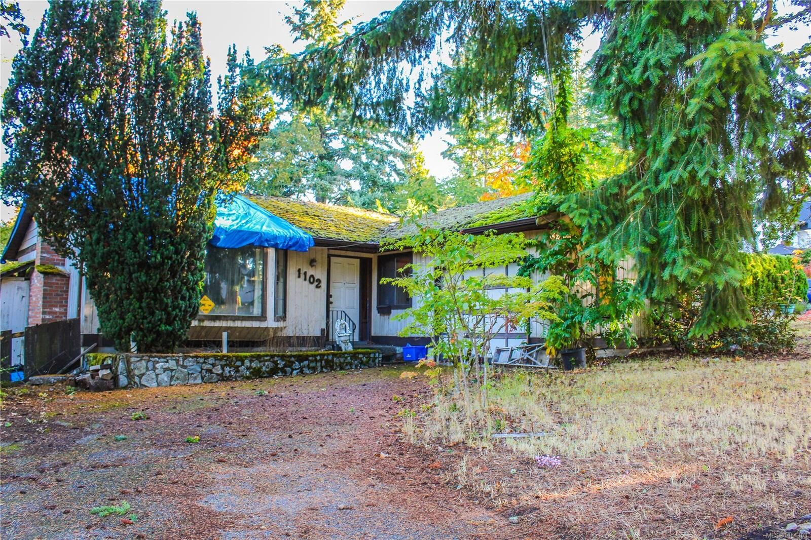 Property Photo:  1102 Marchant Rd  BC V8M 1G1 