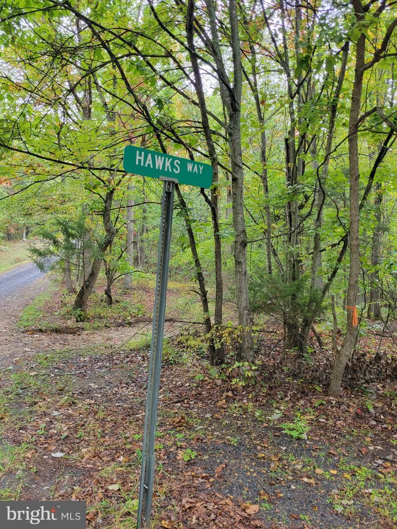 Property Photo:  Hawks Way  WV 26714 