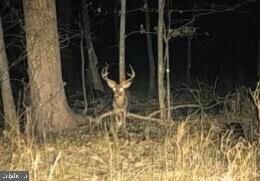 Property Photo:  Patuxent River  MD 20724 