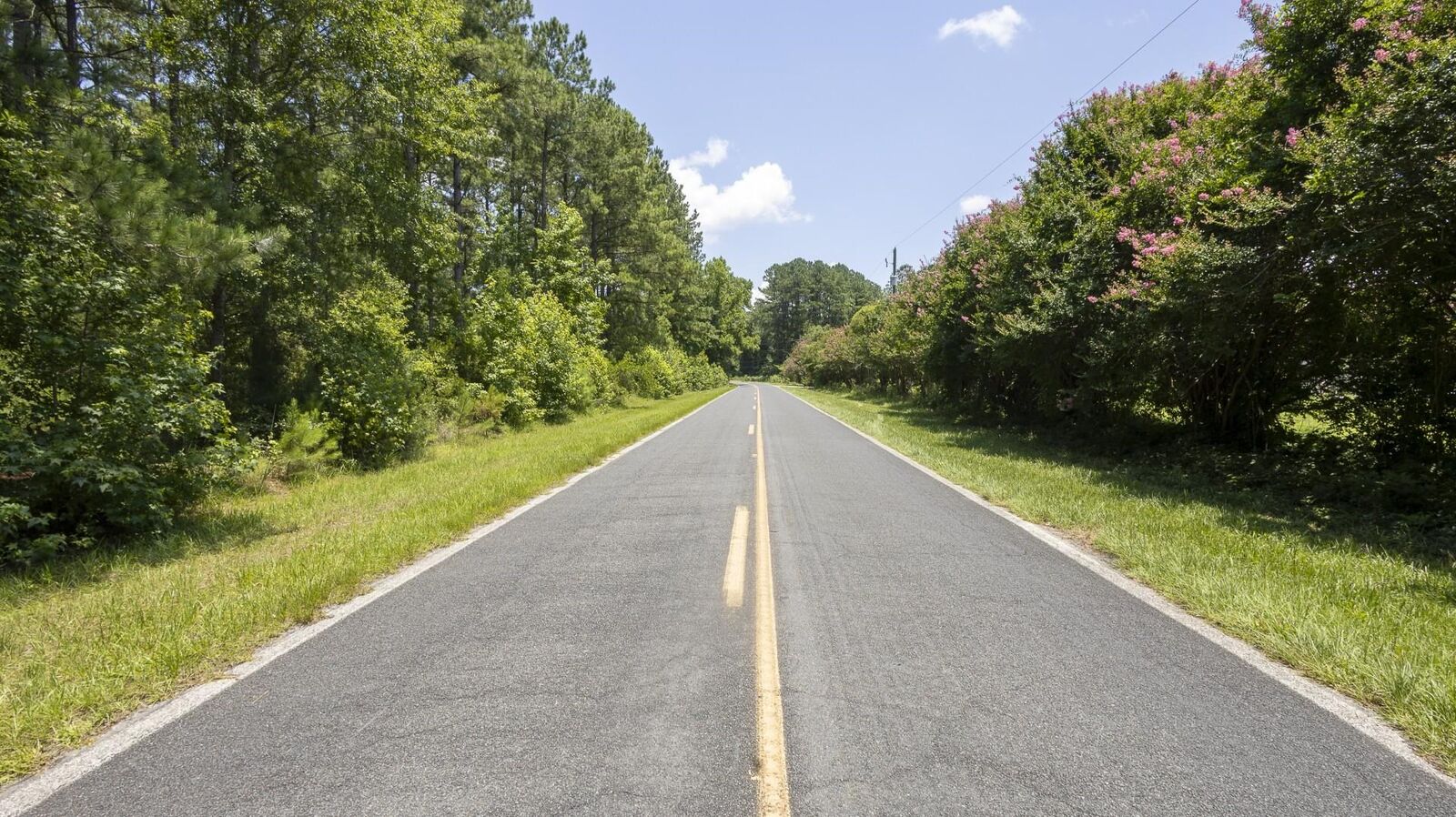 Property Photo: 0 Tom Cribb Rd. SC 29554