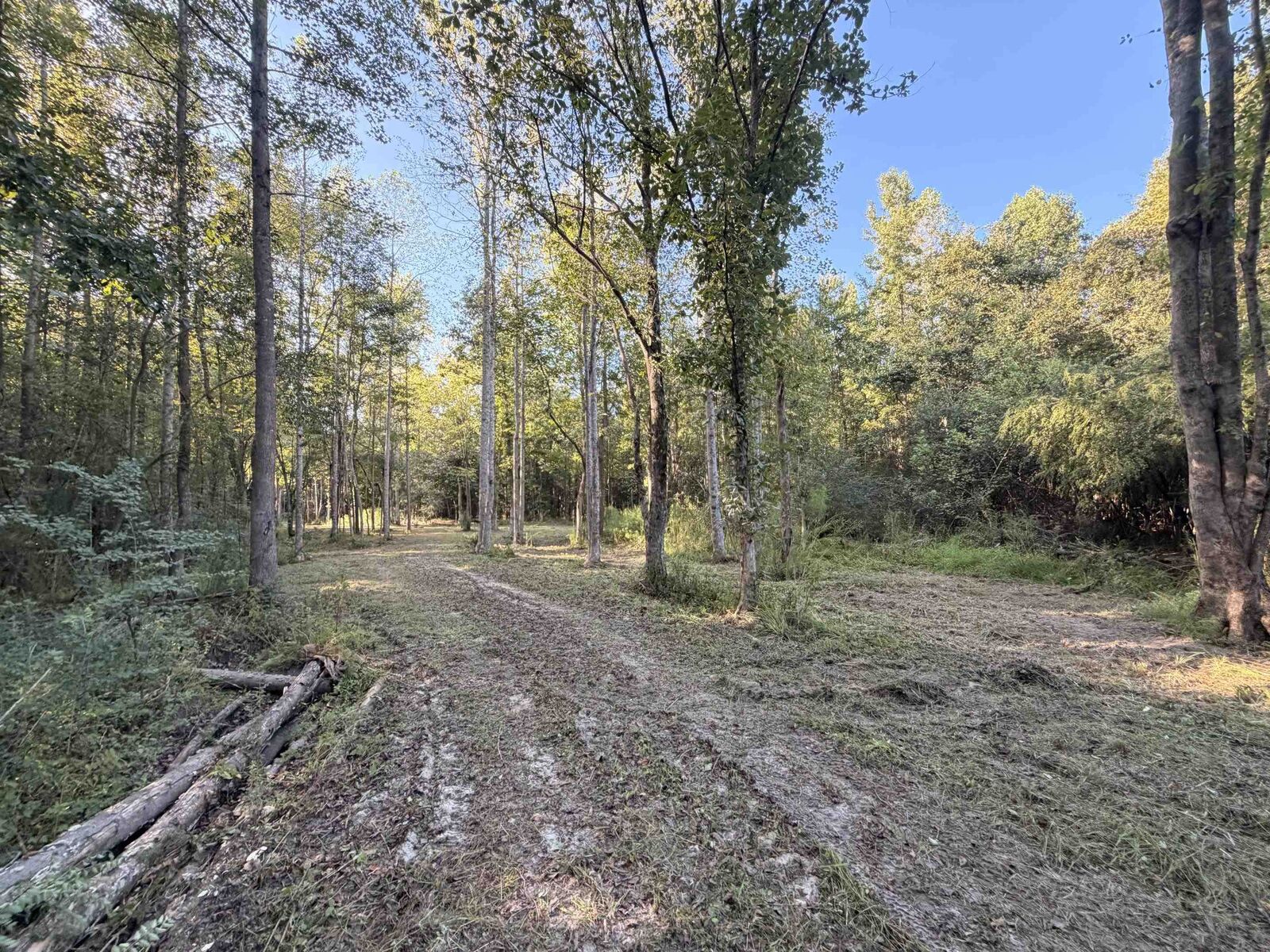 Property Photo:  0 Pleasant View Church Rd.  SC 29581 