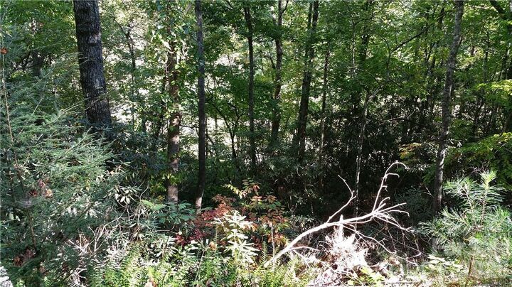 Property Photo: 0 Grandview Drive 83 NC 28746