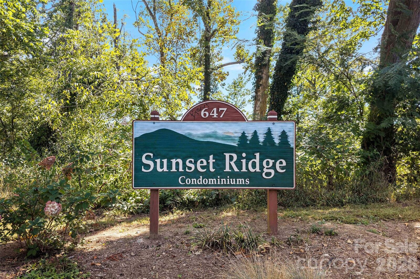 Property Photo: 647 Town Mountain Road 407 NC 28804