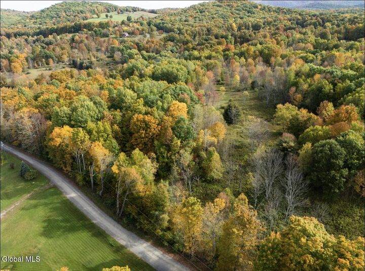 Property Photo: L23 Blossom Rd Road NY 12865