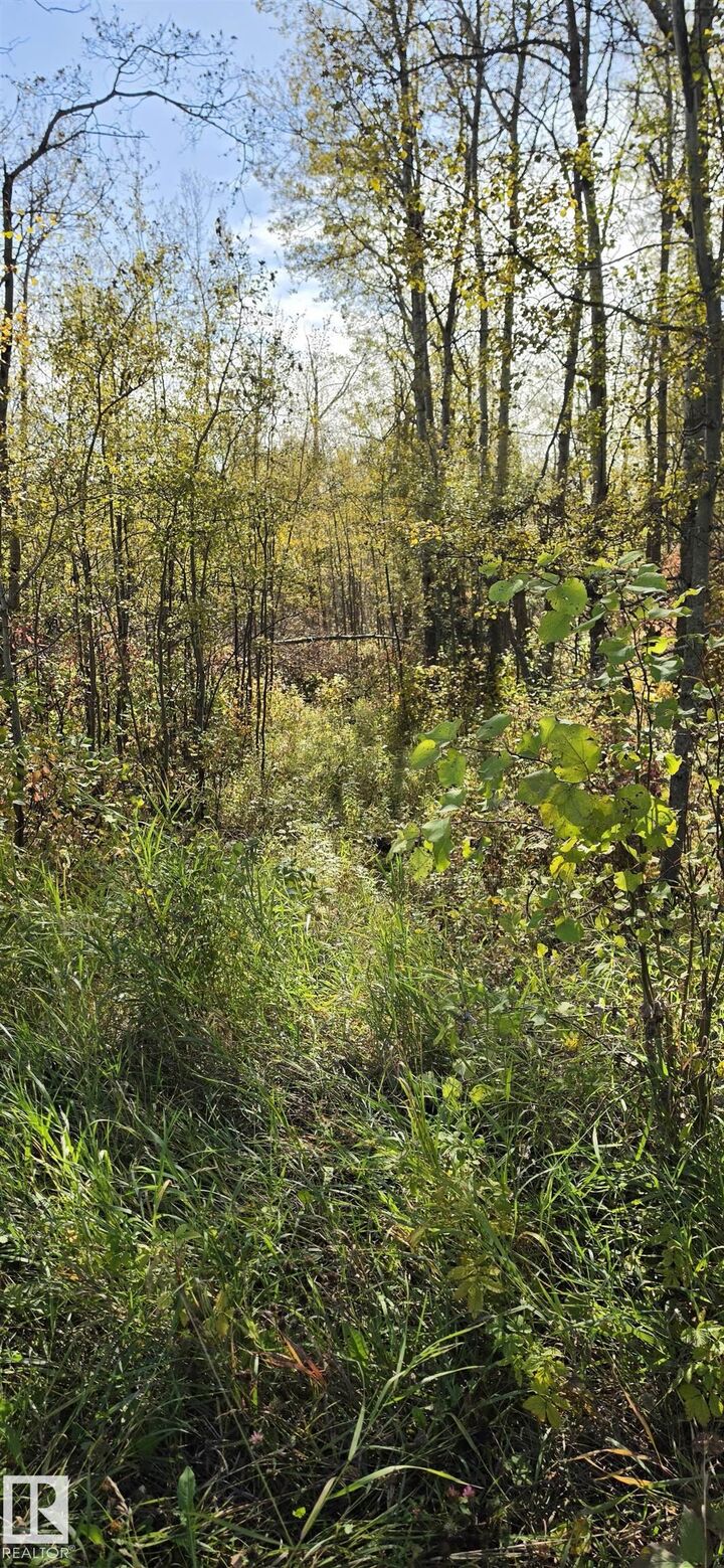 Property Photo:  Twp Rd 460 And Rge Rd 230  AB T9A 1W9 