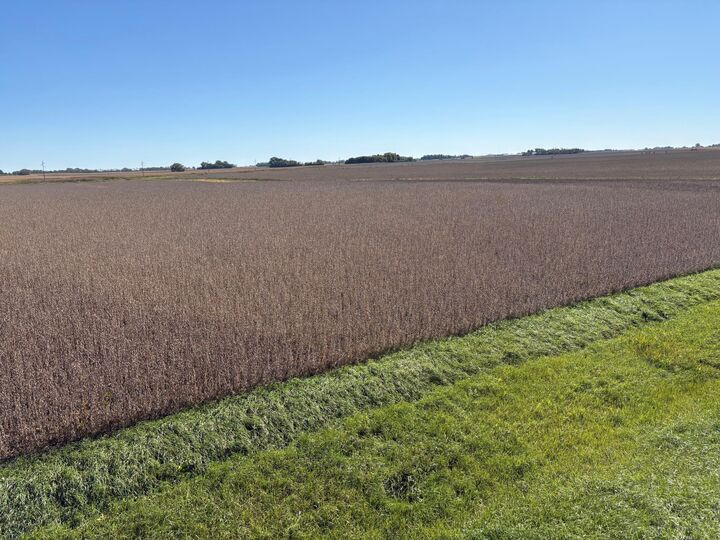 Property Photo:  Tbd 540th Avenue  MN 56097 