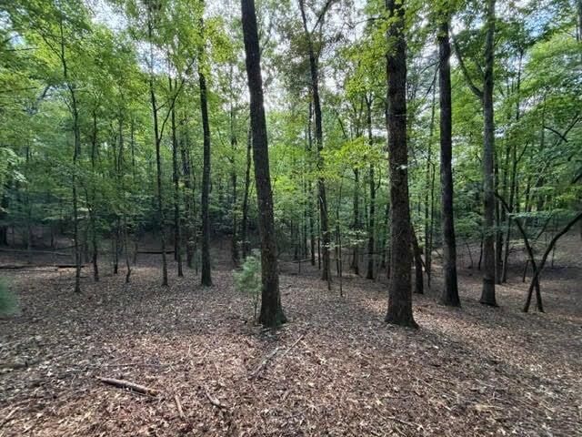 Property Photo: 556 Satsuma Court S GA 30540