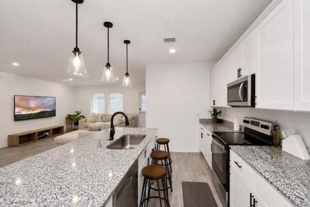 Property Photo:  1313 Bison View Lane  TX 77474 