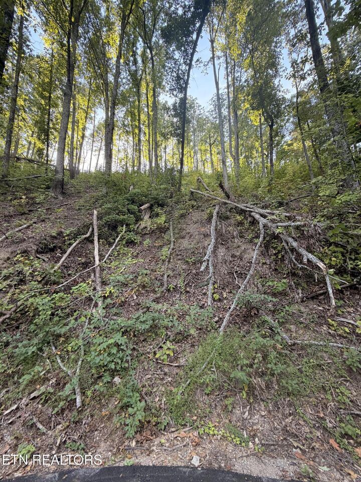 Property Photo: Whipoorwill Hill Way 28 TN 37862