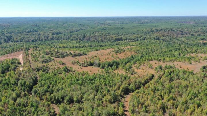 Property Photo:  0 Easement Rd Off Cr 1648  TX 75657 